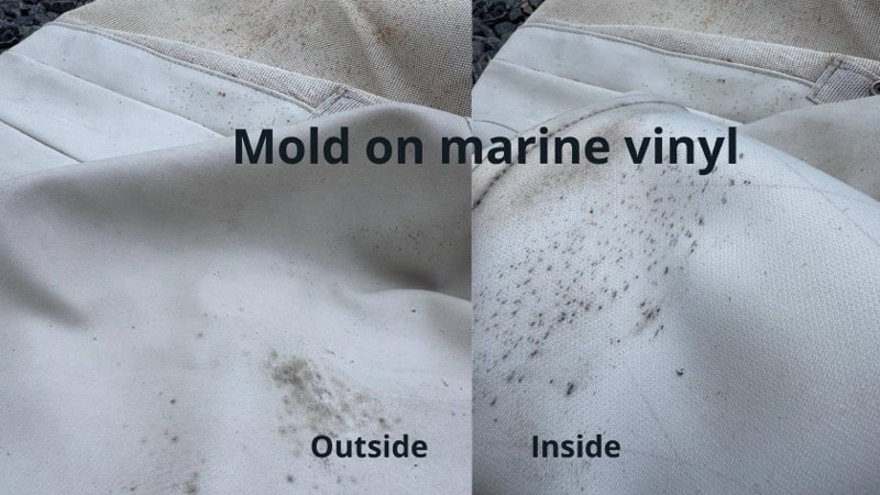 Mold on marine vinyl
Outside and Inside
