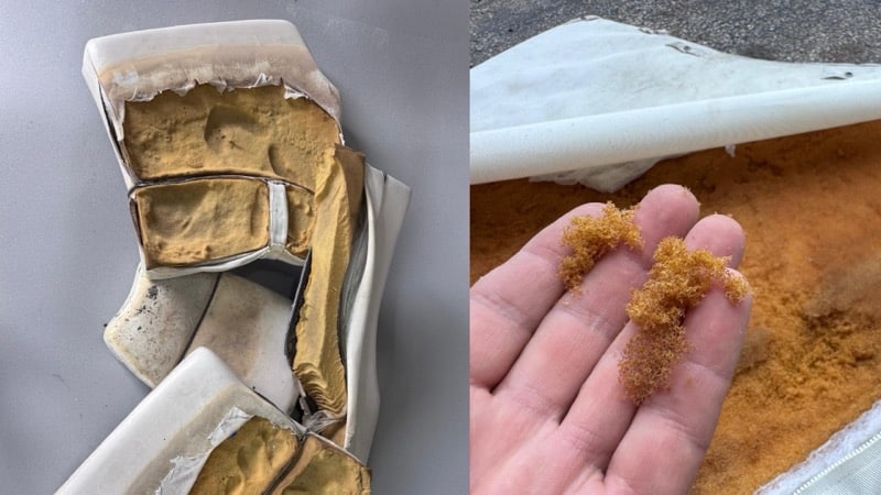  Aging Marine Foam Photo