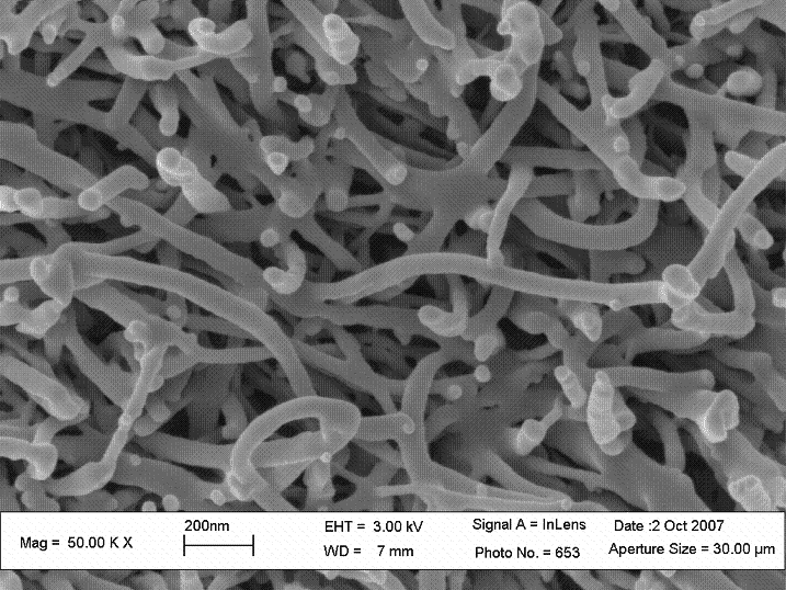 Collagen fiber network