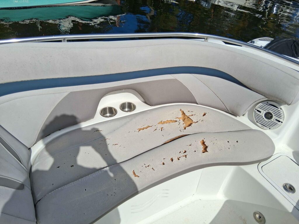 Boat Interiors Age / UV radiation slowly breaks down the surface and reduces flexibility cushions 