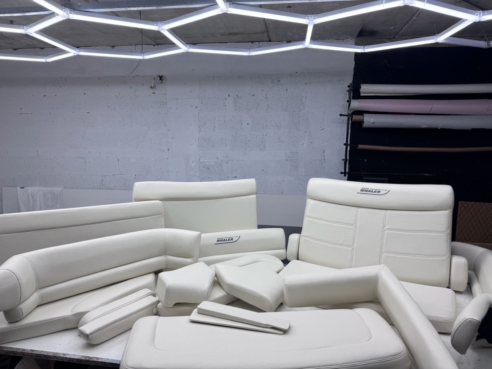 PHOTO-2026-01-10-09-05-01