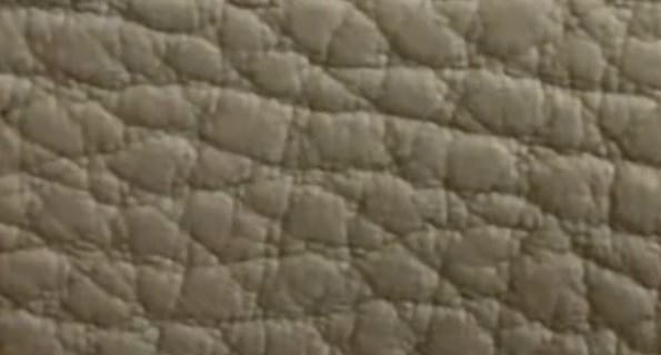 Beluga, Zephyr (BEL-3318): close-up of the grain on the supplied physical sample.
